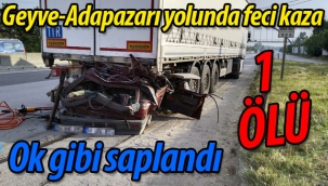 Geyve-Adapazarı yolunda feci kaza: 1 ÖLÜ