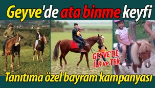 Geyve'de at binmeye davet!
