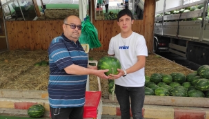 Geyve'de karpuz satış sezonu başladı