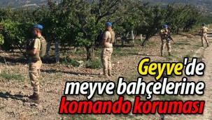 Geyve'de meyve bahçelerine komando koruması