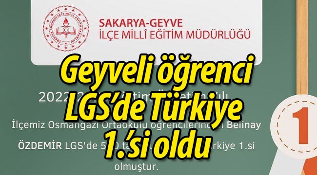 Geyveli öğrenci LGS'de Türkiye 1.'si oldu