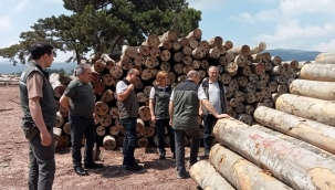 Önder Terzi,  Katırözü Orman Deposu'nu ziyaret etti