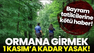 Ormana girmek 1 Kasım'a kadar yasak
