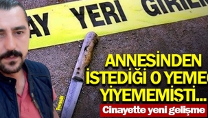 Pamukova'daki firmada çalışıyordu, o cinayette yeni gelişme!