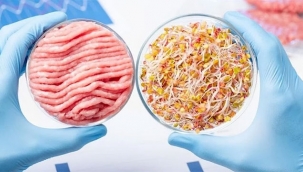 Yapay tavuk eti satışına onay