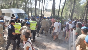 Akbelen ormanında ağaç katliamı! 