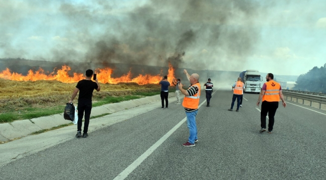 Edirne'de 250 dönüm buğday tarlası daha yandı