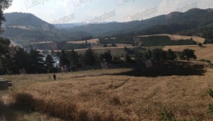 Geyve'de buğday tarlasında çıkan yangın ormanlık alana sıçradı!