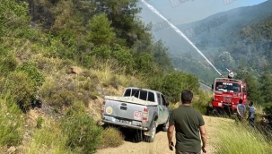 Taraklı-Geyve yolunda orman yangını