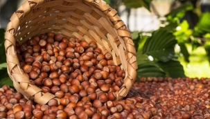 Fındık alım fiyatları belli oldu