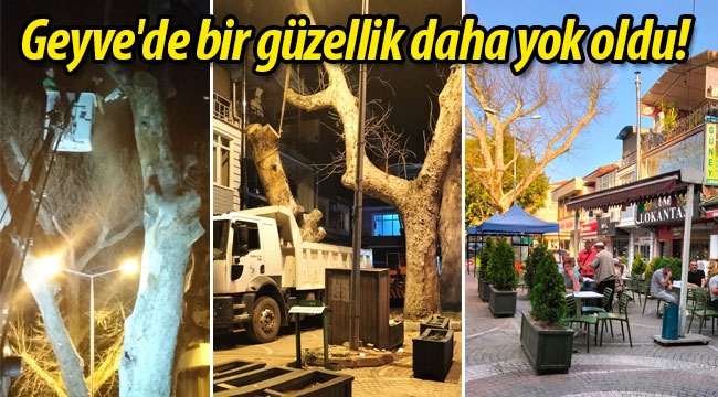 Geyve'de bir güzellik daha yok oldu!