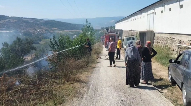 Geyve'de yangın! Zeytinlik zarar gördü, arılar telef oldu!