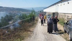 Geyve'de yangın! Zeytinlik zarar gördü, arılar telef oldu!
