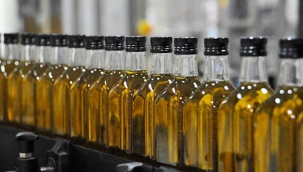 Zeytinyağı ihracatına 3 aylık yasak
