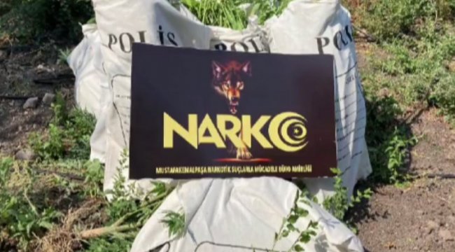 Bursa NARKO'dan şafak operasyonu: 135 gözaltı