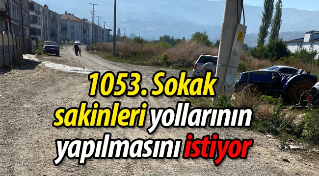 Geyve'de 1053. Sokak sakinleri yollarının yapılmasını istiyor