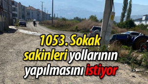 Geyve'de 1053. Sokak sakinleri yollarının yapılmasını istiyor
