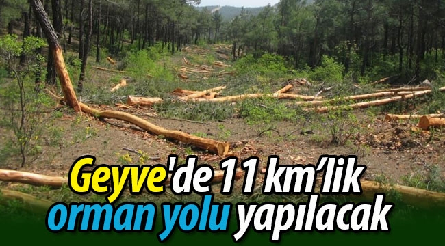 Geyve'de 11 km orman yolu yapılacak