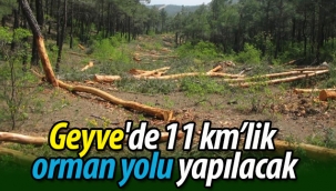 Geyve'de 11 km orman yolu yapılacak