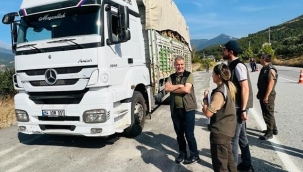 Geyve'de orman suçlarına geçit yok