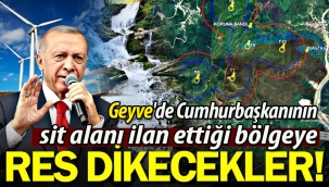 Geyve'de sit alanına RES dikecekler!