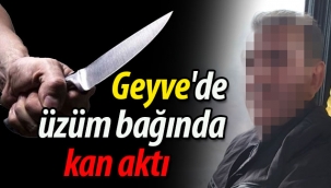 Geyve'de üzüm bağında bıçaklı saldırı: 1 yaralı