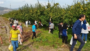 Üniversiteliler Geyve'yi tanıdı