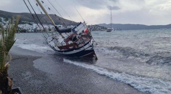 Bodrum'da ilginç görüntüler