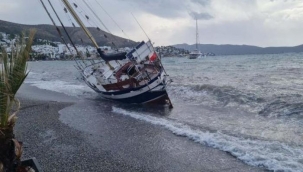Bodrum'da ilginç görüntüler