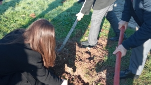 Okul bahçesine fidan diktiler