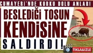 Cumayeri, bu cesur kadını konuşuyor