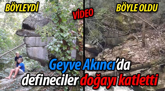 Definecilerden Geyve Akıncı'da doğa katliamı