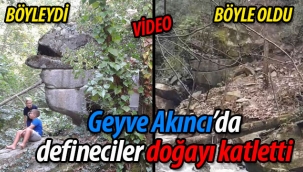 Definecilerden Geyve Akıncı'da doğa katliamı