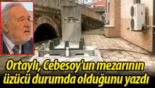 Ortaylı, Cebesoy'un mezarının üzücü durumda olduğunu yazdı