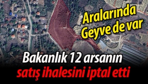 Bakanlık, 12 arsanın satış ihalesini iptal etti