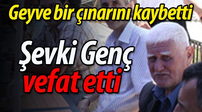 Geyve bir çınarını kaybetti