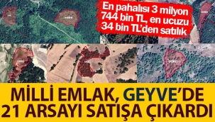 Geyve'de imarsız 21 arsa satışa çıktı!