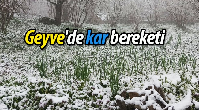 Geyve'de kar bereketi