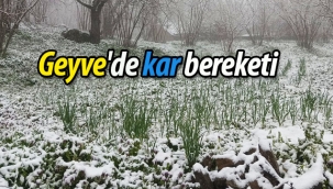 Geyve'de kar bereketi