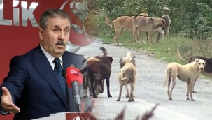 BBP lideri Destici; 'Çok saldırgan köpekleri uyutacağız'