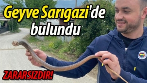 Geyve Sarıgazi'de bulundu
