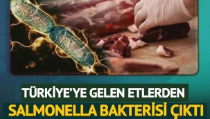 Türkiye'ye gelen 20 ton etten bakteri çıktı!