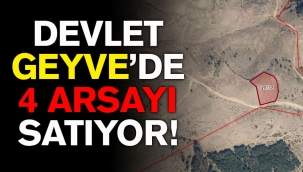 Devlet, Geyve'de 4 arsayı bu fiyatlardan satacak!