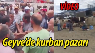 Geyve'de kurban pazarı (VİDEO)