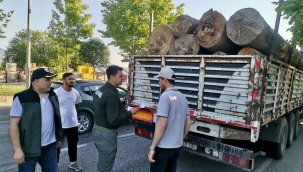 Orman kaçakçılığına geçit yok