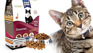 Gurme Kedi Maması Farkı Nedir?