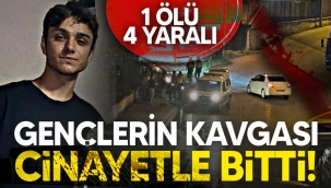Hendek'te gençlerin kavgası cinayetle bitti!