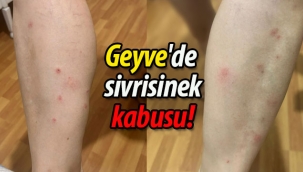 Geyve'de sivrisinek kabusu