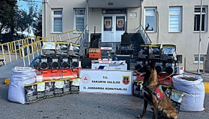 Jandarmadan kaçakçılara 2 operasyon, 2 tutuklama