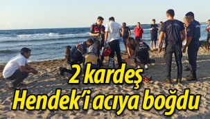 2 kardeş Hendek'i acıya boğdu
